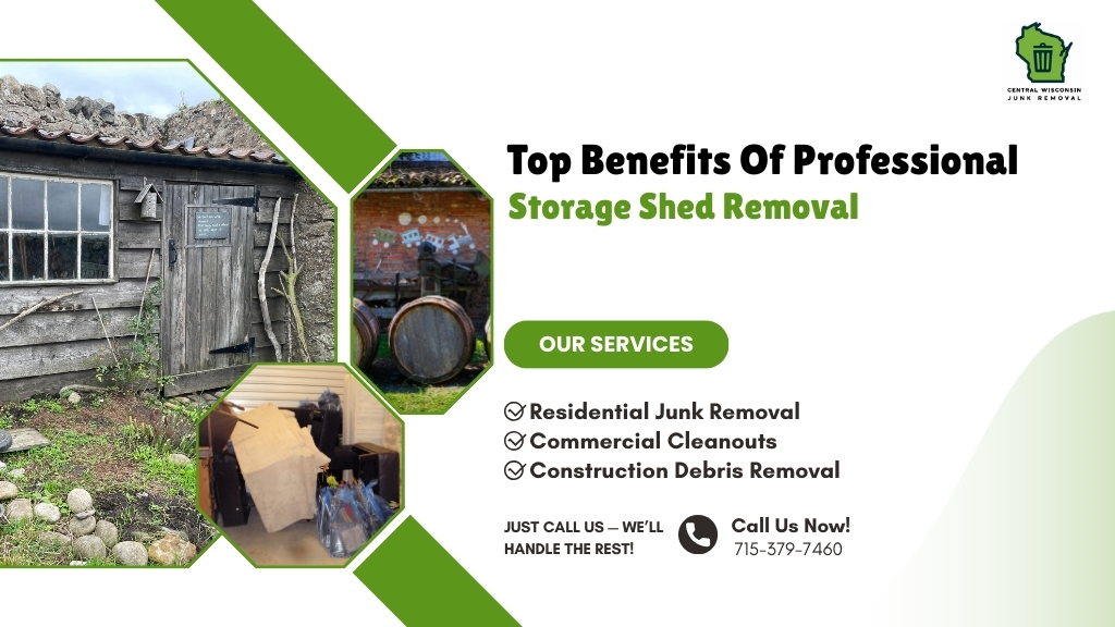 Storage Shed Removal